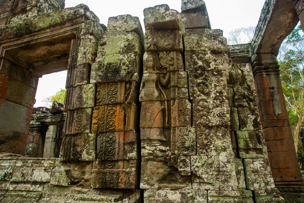 Het tempelcomplex van Angkor. — Stockfoto