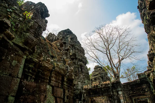 El complejo del templo de Angkor . — Foto de Stock