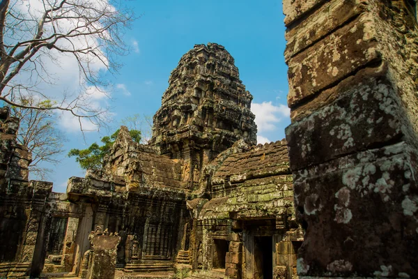Kompleksu świątyni Angkor. — Zdjęcie stockowe
