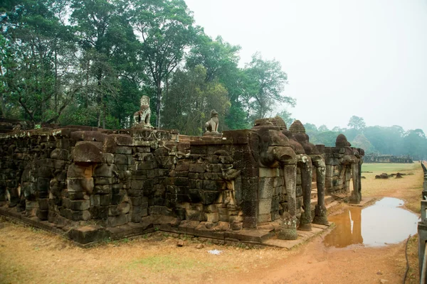 Słoń tarasie kompleksu świątyni Angkor. — Zdjęcie stockowe