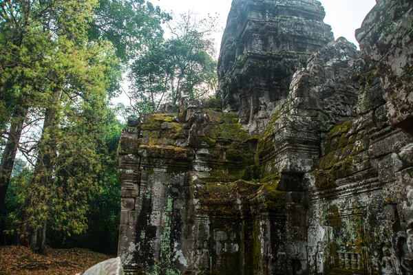 Der Tempelkomplex von angkor.cambodia. — Stockfoto