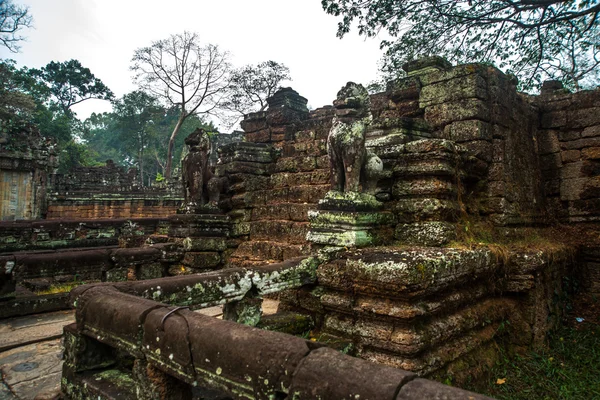 Le complexe du temple d'Angkor . — Photo