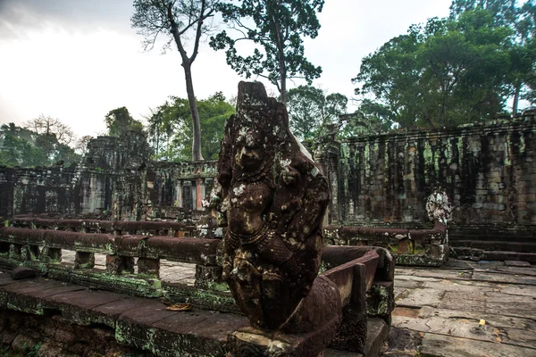 Le complexe du temple d'Angkor . — Photo