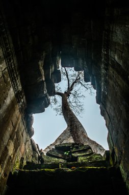 Angkor tapınak kompleksi.