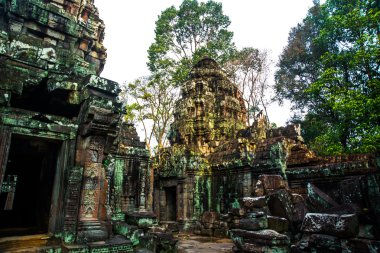 Angkor tapınak kompleksi.