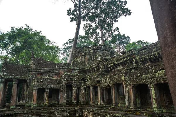 El complejo del templo de Angkor . — Foto de Stock
