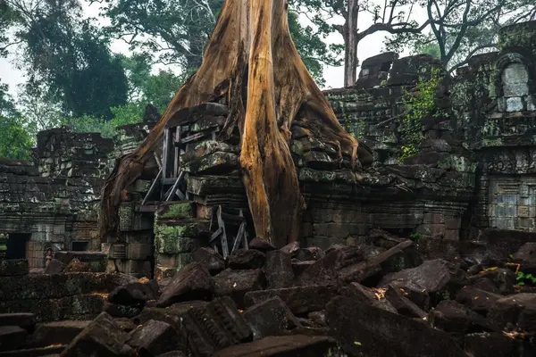 Chrámový komplex Angkor. — Stock fotografie