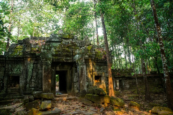 Ta Som.Trees with roots on the walls.Angkor.Cambodia. — Stock Photo, Image