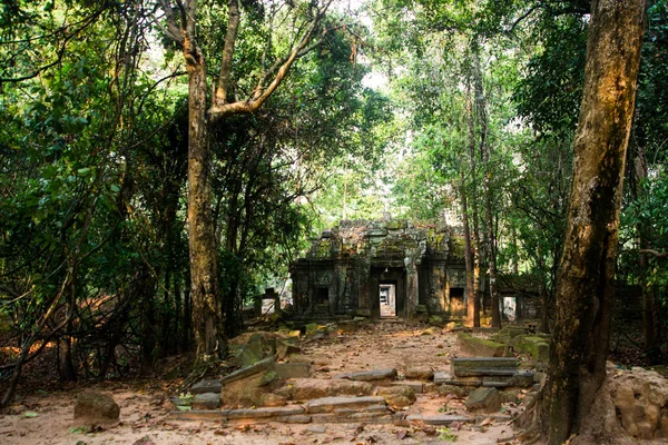 Ta Som.Arbres avec des racines sur les murs.Angkor.Cambodge . — Photo