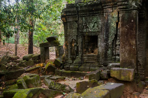 Ta Som.Trees s kořeny na stěnách. Angkor.Cambodia. — Stock fotografie