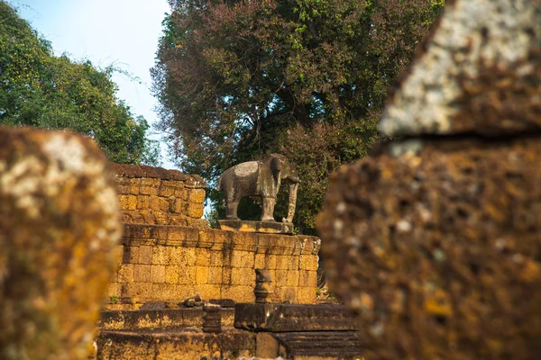 象の Angkor.The 記念碑の寺院の複合体 — ストック写真