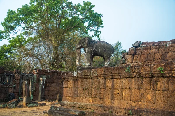 Pomnik słonia. Na terenie kompleksu świątyni Angkor. — Zdjęcie stockowe
