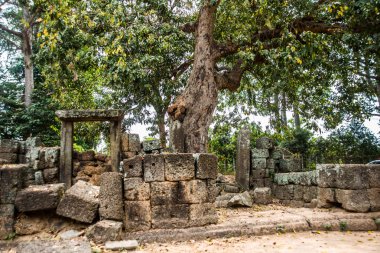 Angkor tapınak kompleksi.