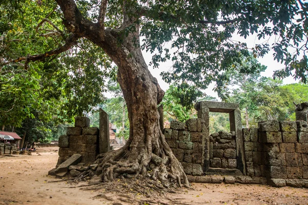 Chrámový komplex Angkor.Trees s kořeny. Kambodža. — Stock fotografie