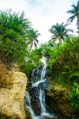 Şelale, kayalar, yeşil avuç içi. Peri akışı Suoi Tien, MUI Ne, Vietnam. Turistik MUI Ne.Beautiful dağlar ve su