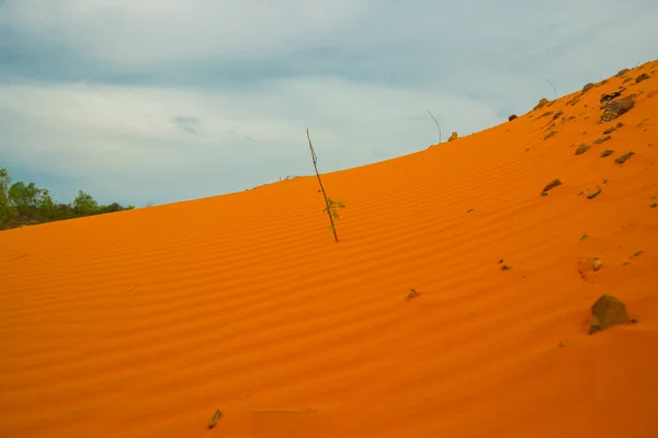 Желтый, оранжевый песок фон и украшение морского неба — стоковое фото