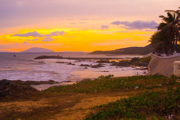 Solnedgången. Vackra palmer på stranden. Mui Ne, Phan Thiet, Vietnam. — Stockfoto