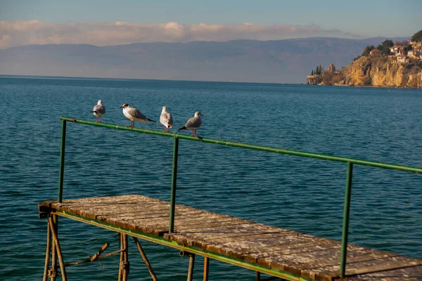 Ohrid Macedonia Del Nord Veduta Della Città Del Lago Ohrid — Foto Stock