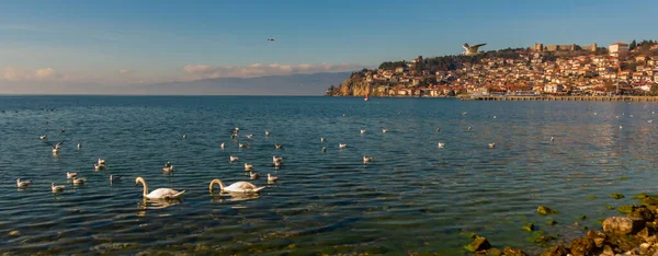 Ohrid North Macedonia Güneşli Bir Günde Şehir Ohri Gölü Manzarası — Stok fotoğraf