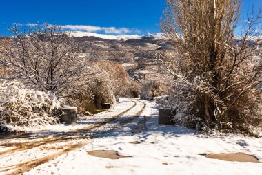 OHRID, NORTH MACEDONIA: Güneşli bir günde Ohri 'deki kış parkı manzaralı güzel bir manzara. UNESCO Dünya Mirası Alanı