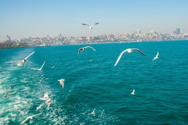 ISTANBUL, TURKEY: Güneşli havada İstanbul 'un güzel manzarası. Camiler ve eski kent manzaralı turistik tekne gezisi.