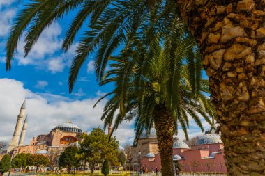 Güneşli bir günde Ayasofya 'nın ve palmiye ağaçlarının güzel manzarası. Şimdi bir cami oldu..