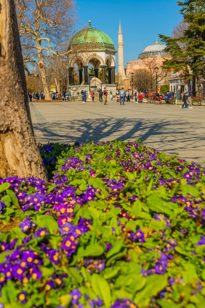 Istanbul Turkey Hagia Sophia Achthoekige Duitse Stenen Fontein Sultanahmed Square — Stockfoto