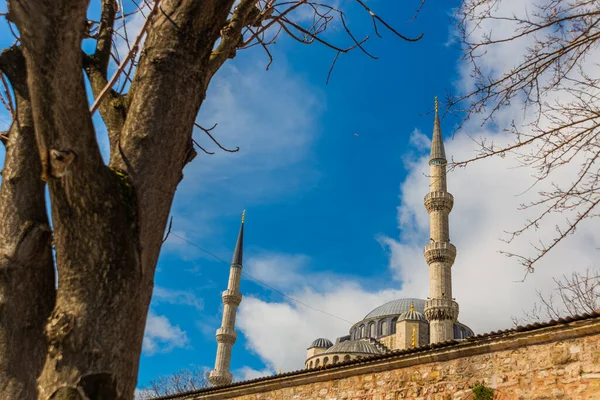 Istanbul Turkey Krásný Výhled Slavnou Modrou Mešitu Centru Istanbulu — Stock fotografie