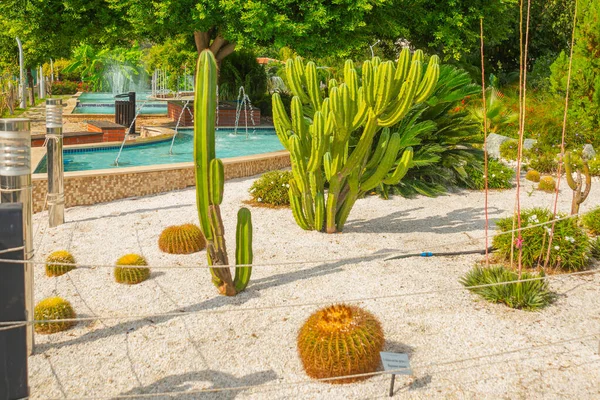 Kemer Turquía Hermoso Parque Botánico Zeki Tuncer Con Fuentes Palmeras — Foto de Stock