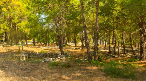 Kemer Turquía Lugar Excavación Arqueológica Idyros Parque Nacional Kemer Kemer —  Fotos de Stock