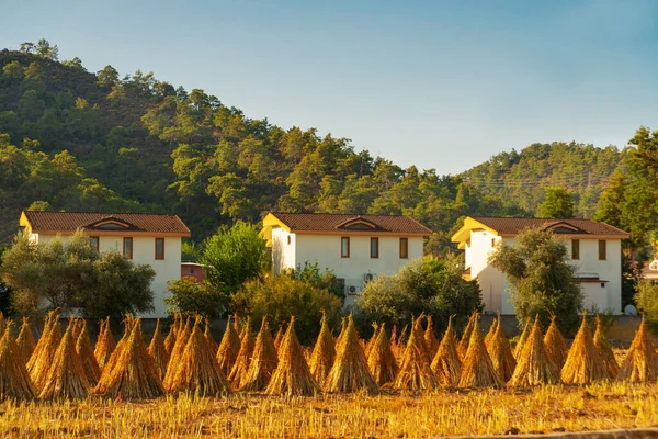 Kemer Turquía Hermoso Paisaje Con Pajar Montañas Horizonte Kemer Día —  Fotos de Stock