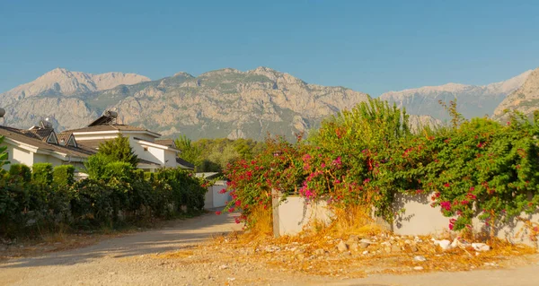 Kemer Turkey Piękny Krajobraz Widokiem Góry Czerwonymi Kwiatami Kemer Kemer — Zdjęcie stockowe