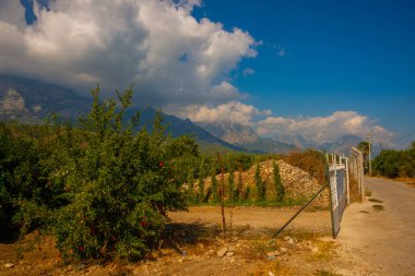 Antalya, Kemer 'de güneşli bir günde vinç ve portakalların yetiştiği dağların ve tarlaların güzel manzarası..