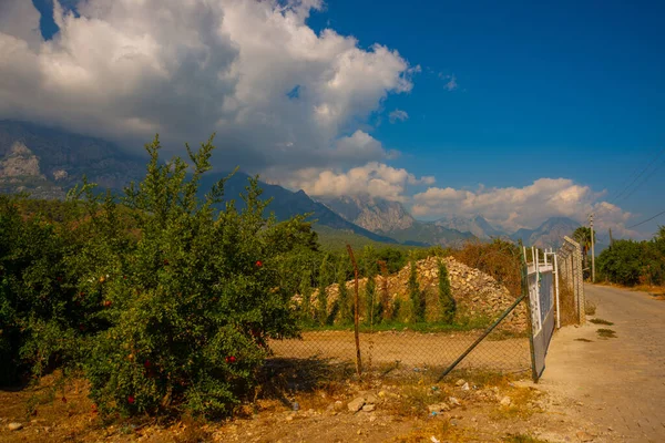 Kemer Türkei Schöne Aussicht Auf Die Berge Und Felder Auf — Stockfoto