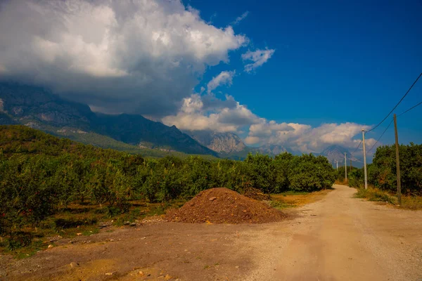 Kemer Turkey Vacker Utsikt Över Bergen Och Fälten Där Tranor — Stockfoto