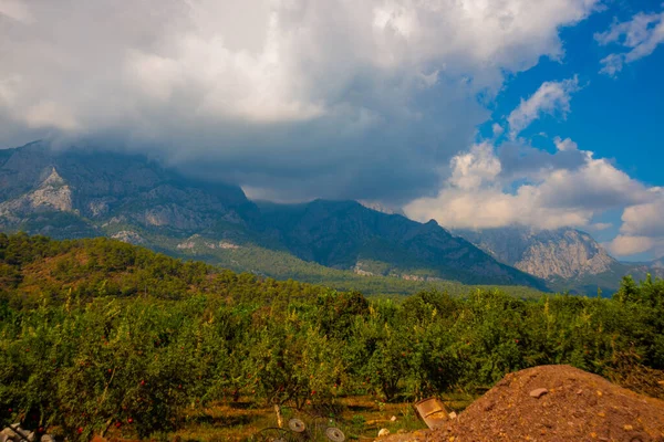 Kemer Turquía Hermosa Vista Las Montañas Campos Donde Cultivan Grúas —  Fotos de Stock