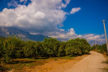 Antalya, Kemer 'de güneşli bir günde vinç ve portakalların yetiştiği dağların ve tarlaların güzel manzarası..