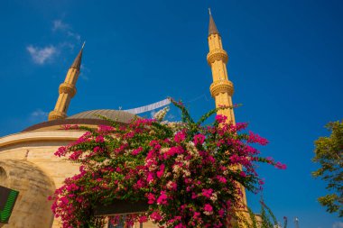 KEMER, TURKEY: Güzel cami manzarası Kemer Cami ve mavi gökyüzünün arka planında çiçekler.