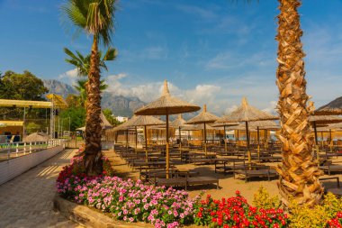 Kemer 'in merkez plajında plaj şemsiyeleri ve palmiye ağaçları, arka planda dağlar, Antalya, Türkiye.