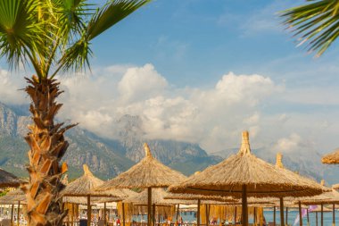 Kemer 'in merkez plajında plaj şemsiyeleri ve palmiye ağaçları, arka planda dağlar, Antalya, Türkiye.