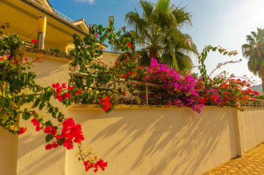 Kemer şehrinin küçük bir caddesindeki manzarayı seyret. Koronavirüsü olan turist yok. Kemer, Türkiye.