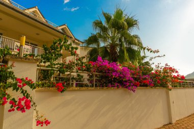 Kemer şehrinin küçük bir caddesindeki manzarayı seyret. Koronavirüsü olan turist yok. Kemer, Türkiye.
