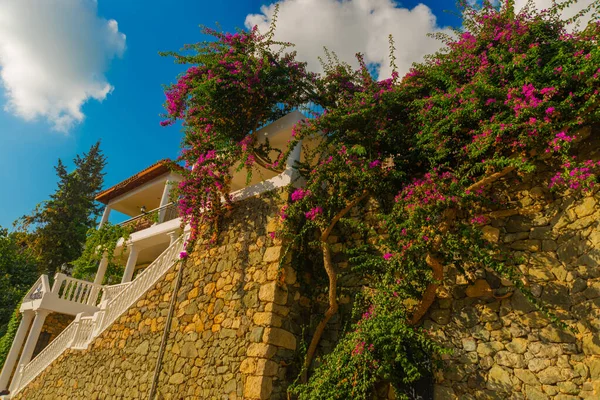 Kemer Turquía Textura Pared Piedra Con Flores Rojas Vista Sobre —  Fotos de Stock