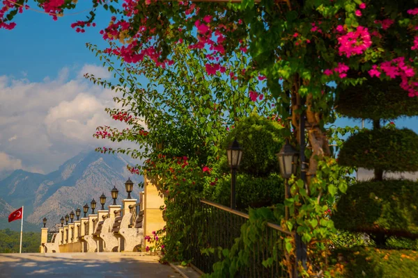 Kemer Turkey Krásný Městský Park Slunečného Dne Tureckém Kemeru — Stock fotografie