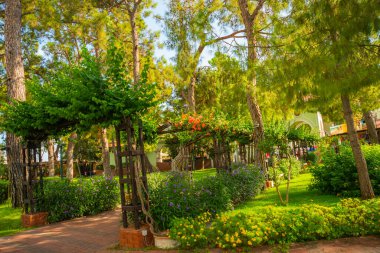 KEMER, TURKEY: Antalya ilinin Kemer ilçesindeki Ay ışığı parkının güzel manzarası.