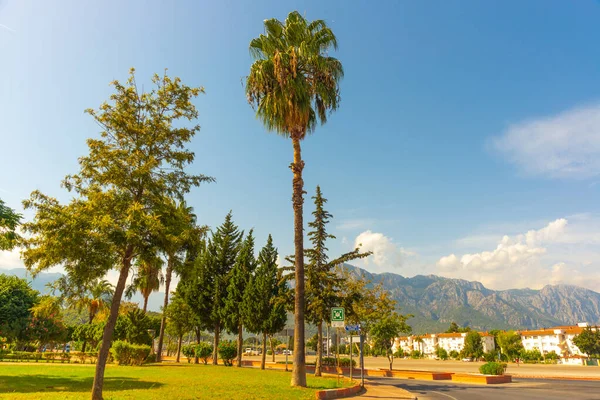 Kemer Τουρκια Όμορφο Πάρκο Της Πόλης Μια Ηλιόλουστη Μέρα Στο — Φωτογραφία Αρχείου