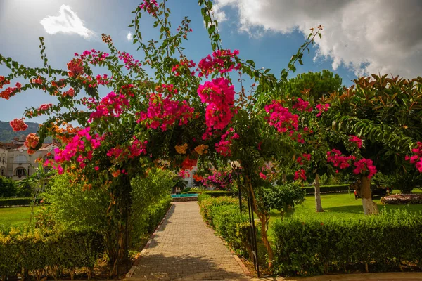 突厥人 公园里漂亮的红色花朵拱门 土耳其凯末尔阳光灿烂的城市公园 — 图库照片