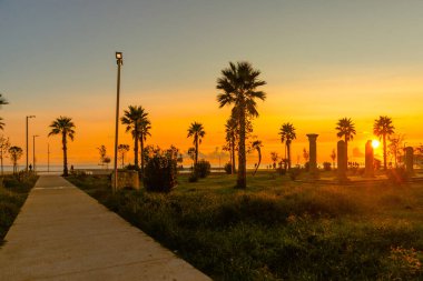 Gün batımında Durres, Arnavutluk ve Adriyatik 'teki toprak setinde gökyüzüne karşı siyah palmiye siluetleri