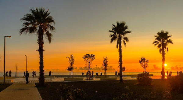 Durres Albania Black Silhouettes Palm Trees Sky Sunset Embankment Durres — Stock Photo, Image