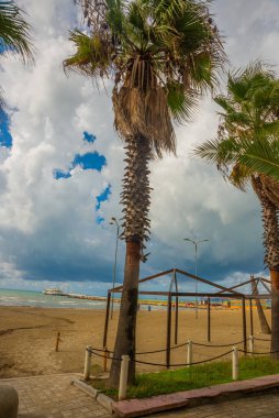 DURRES, ALBANIA: Arnavutluk 'un Durres plajında palmiye ağacı gezinti güvertesi ve mavi deniz.
